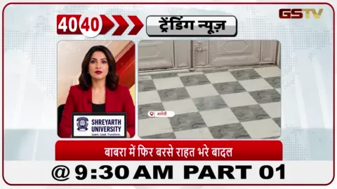 VIDEO: बाबरा, अमरेली में कुछ समय के अंतराल के बाद फिर से बारिश हुई है; लगातार और अच्छी बारिश से किसान खुश हैं