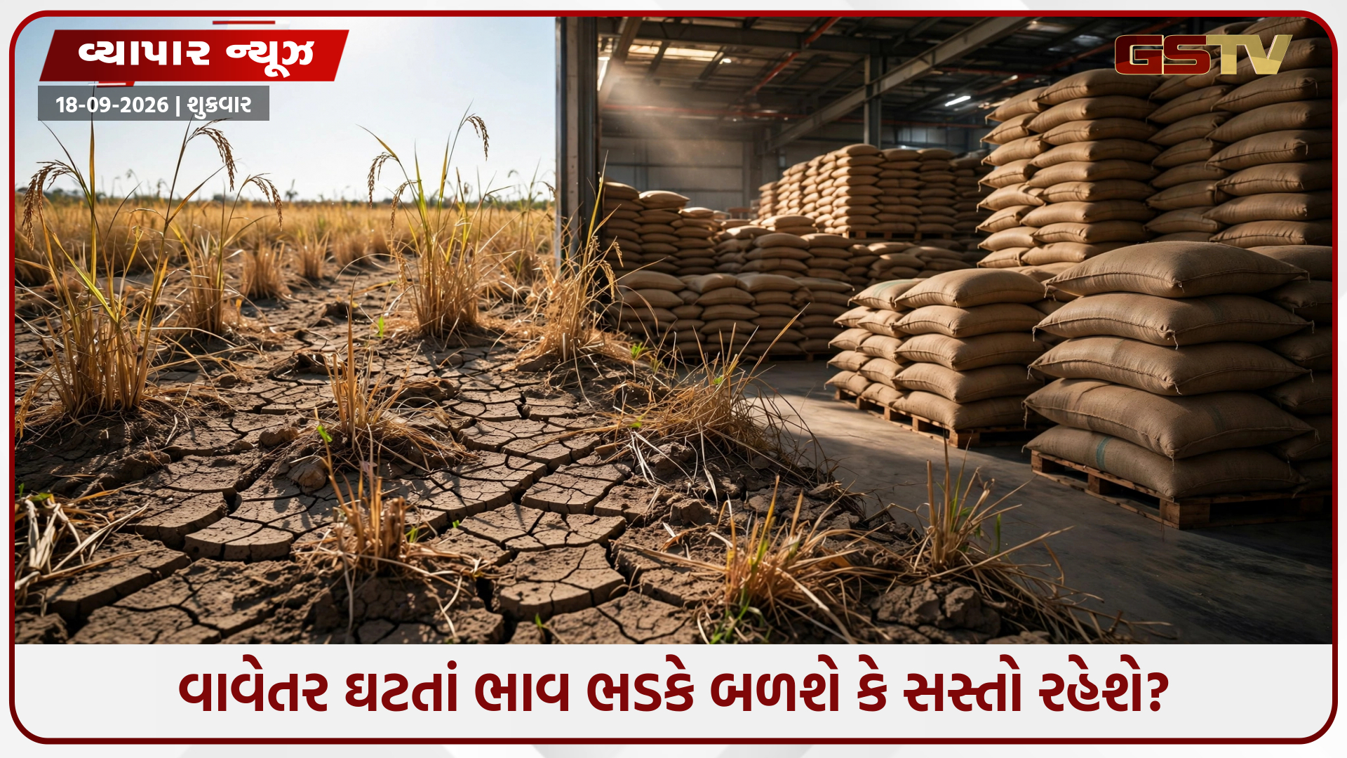 ખાંડ પછી હવે ચોખાનો વારો! દેશમાં 20 વર્ષમાં પહેલીવાર ચોખાનું 1 કરોડ ટન ઉત્પાદન ઘટવાનો અંદાજ