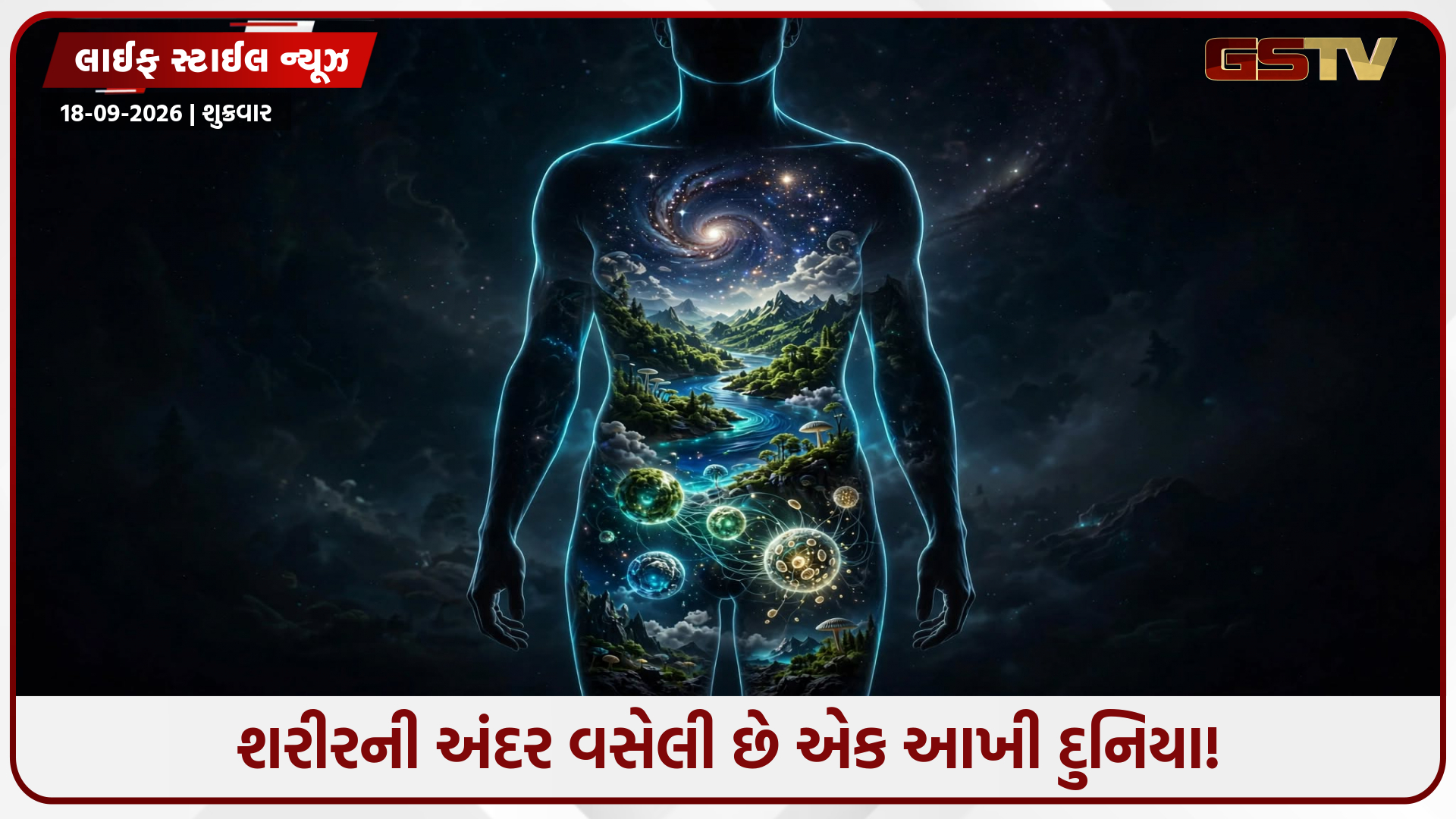 વજન વધવાથી લઈને ટેન્શન સુધી: જાણો પેટની અંદર રહેલા બેક્ટેરિયા કેવી રીતે રમે છે મોટો ખેલ!