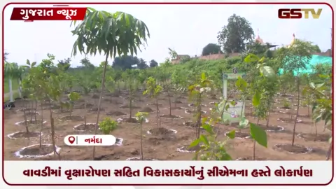 VIDEO: મુખ્યમંત્રી ભુપેન્દ્ર પટેલની નર્મદા મુલાકાત: વાવડીમાં વૃક્ષારોપણ અને વિવિધ કાર્યક્રમોમાં હાજરી