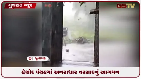 VIDEO: કેશોદ અને પીપળી સહિતના ગ્રામ્ય વિસ્તારોમાં અનરાધાર વરસાદથી ખેતરો પાણીમાં ગરકાવ