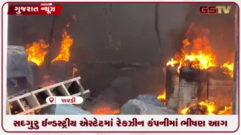 VIDEO: વલસાડના પારડીની સદગુરુ ઇન્ડસ્ટ્રીયલ એસ્ટેટની રેકઝીન કંપનીમાં ભીષણ આગ