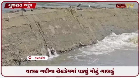 VIDEO: કપડવંજ નજીક વાત્રક નદીના ચેકડેમમાં ગાબડું પડતાં ખેડૂતોમાં ચિંતા, તપાસની માંગ
