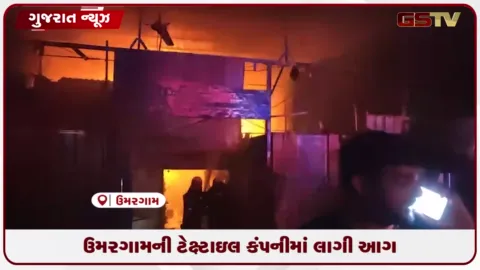 VIDEO: વલસાડના ઉમરગામ ઔદ્યોગિક વિસ્તારમાં ટેક્ષ્ટાઇલ કંપનીમાં અચાનક ભીષણ આગ ભબકી ઉઠી