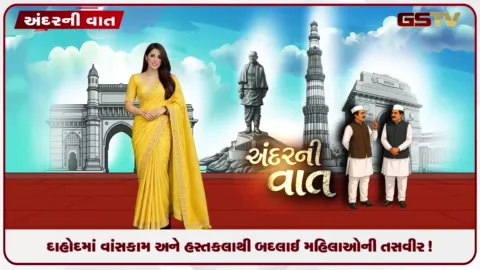 VIDEO: દાહોદમાં વાંસકામ અને હસ્તકલાથી બદલાઈ મહિલાઓની તસવીર!   દૂધી અને વાંસમાંથી સર્જાતી અદ્ભુત કલા