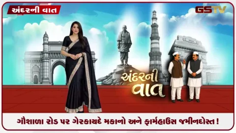 VIDEO: દિલ્હીના છતરપુરમાં ધમધમ્યું બુલડોઝર ગૌશાળા રોડ પર ગેરકાયદે મકાનો અને ફાર્મહાઉસ જમીનદોસ્ત!