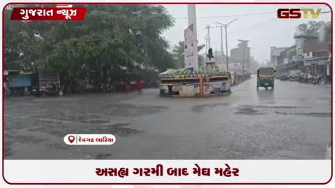 VIDEO: દેવગઢ બારીયામાં અચાનક ધોધમાર વરસાદથી વાતાવરણમાં ઠંડક, ખરીફ પાકને નવજીવન મળ્યું