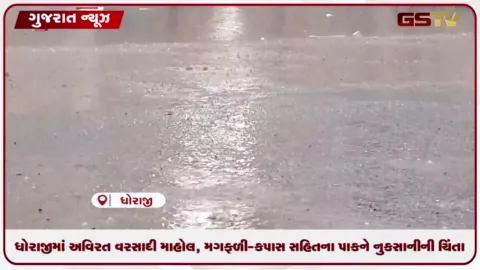 VIDEO: ધોરાજીમાં અવિરત વરસાદી માહોલ, મગફળી-કપાસ સહિતના પાકને નુકસાનીની ચિંતા
