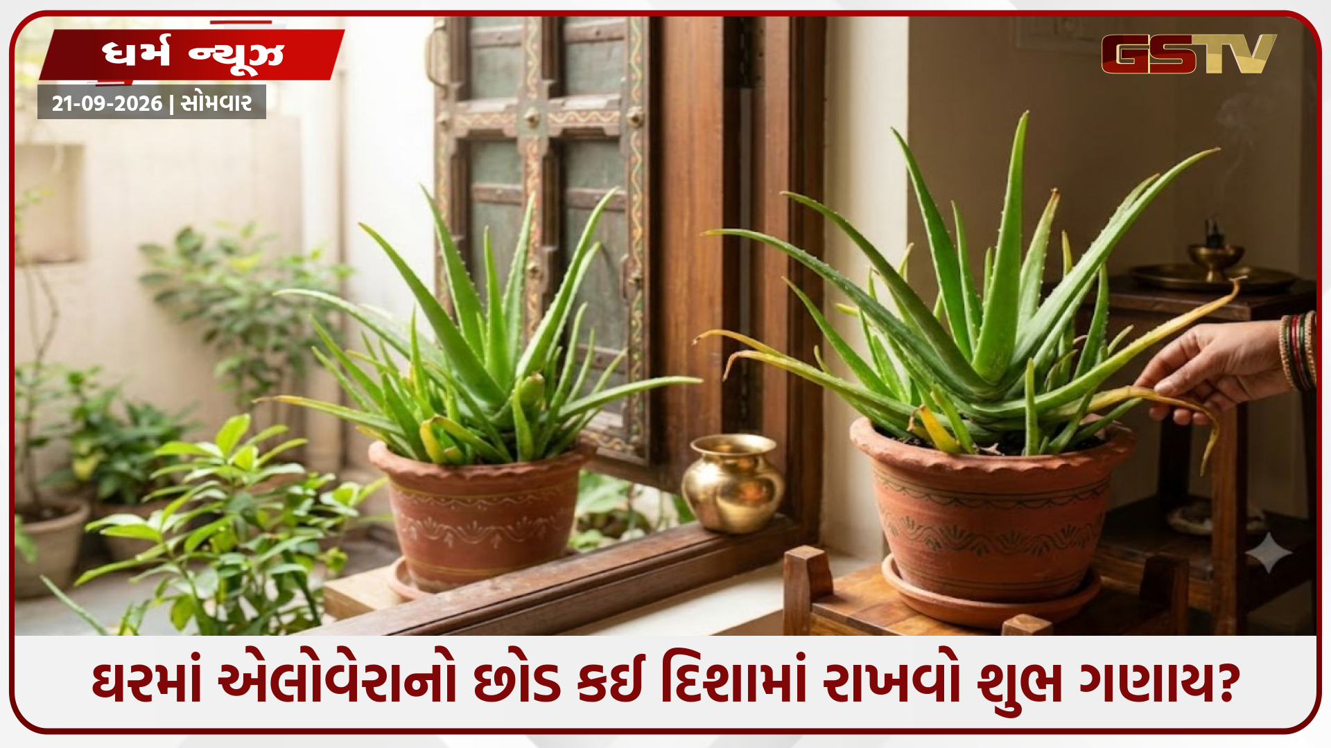 ઘરમાં એલોવેરાનો છોડ કઈ દિશામાં રાખવો શુભ ગણાય? જાણો યોગ્ય સ્થાન અને સાચવી રાખવાના નિયમો