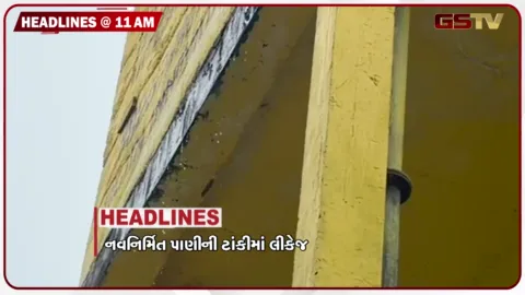 VIDEO: HEADLINE 11.00 AM/  નવનિર્મિત પાણીની ટાંકીમાંથી પાણી લીકેજ, ફૂલના વેપારીઓને હટાવવા મુદ્દે સત્તાધીશો સામ સામે, મેકડોનાલ્ડમાં ઉંદર જોવા મળ્યા