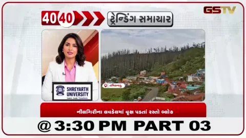 VIDEO: નીલગીરીના લવડેલમાં વૃક્ષ પડતા રસ્તો બ્લોક