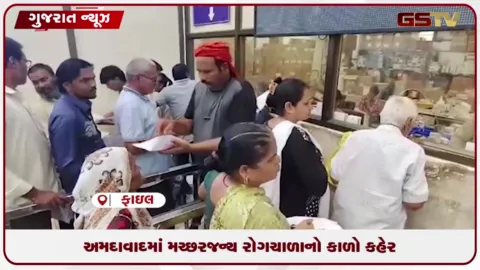 VIDEO: અમદાવાદમાં બેવડી ઋતુ વચ્ચે રોગચાળો વકર્યો: ડેન્ગ્યુના ૪૯૬ કેસ નોંધાયા