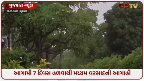 VIDEO: Gujaratમાં આગામી 7 દિવસ હળવાથી મધ્યમ વરસાદની આગાહી, માછીમારોને દરિયો ન ખેડવા ચેતવણી