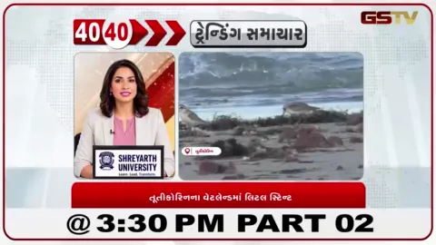 VIDEO: તૂતીકોરિનના વેટલેન્ડમાં લિટલ સ્ટિન્ટ પક્ષી જોવા મળ્યું: પક્ષીપ્રેમીઓમાં ખુશીનો માહોલ