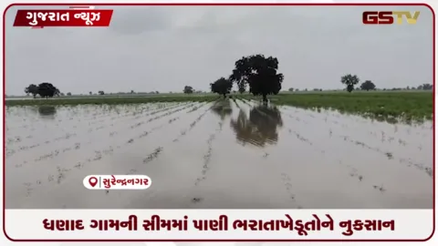 VIDEO: સુરેન્દ્રનગરના ધણાદમાં ૩ ગામોના પાણી ભરાતાં ૧ હજાર વીઘામાં વાવેલો પાક નાશ પામ્યો