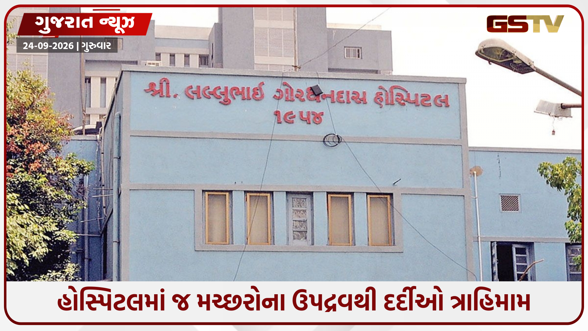 અમદાવાદની LG હોસ્પિટલમાં મચ્છરોનો ઉપદ્રવ; કોંગ્રેસ મહામંત્રીએ ખોલી પોલ, સુપ્રિટેન્ડેન્ટનો લૂલો બચાવ