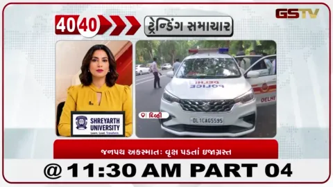 VIDEO: દિલ્હીના જનપથ પર મોટું વૃક્ષ ધરાશાયી: બાઇકચાલકો દબાતાં ગંભીર રીતે ઇજાગ્રસ્ત, જનપથ માર્ગ પર ભારે ટ્રાફિક જામ