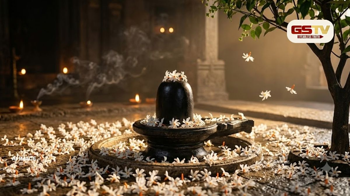 શિવલિંગ પર પારિજાત ચઢાવતી વખતે ન કરો આ ભૂલ, જાણો ફૂલ તોડ્યા કે ધોયા વિના કેમ ચઢાવાય છે?