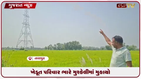 VIDEO: તારાપુરમાં પાવરગ્રીડ કંપનીની મનમાની, મંજૂર સર્વે નંબરની જગ્યાએ બીજી જમીનમાં ઉભો કરી દીધો વીજ પોલ