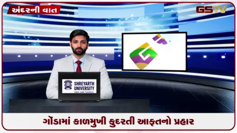 VIDEO: વરસાદ અને વાવાઝોડાથી ડાંગરનો પાક જમીનદોસ્ત!