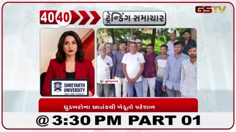 VIDEO: સુરેન્દ્રનગરના ચૌદ ગામોમાં ઘુડખરોના આતંકથી કંટાળીને ખેડૂતોએ વન વિભાગને પાંચ દિવસનું અલ્ટીમેટમ આપ્યું.