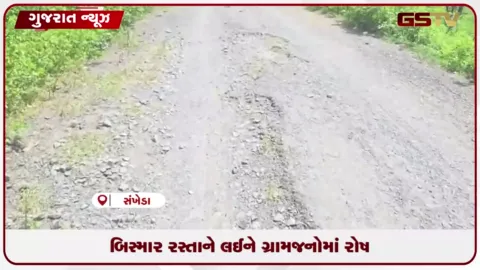 VIDEO: સંખેડાના કલેડીયા-કૃષ્ણપુરા માર્ગની બિસ્માર હાલતથી ૧૦ ગામોના લોકોમાં ભારે રોષ