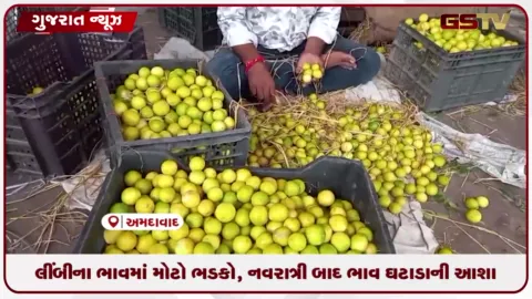 VIDEO: લીંબુના ભાવમાં મોટો ભડકો, નવરાત્રી બાદ ભાવ ઘટાડાની આશા