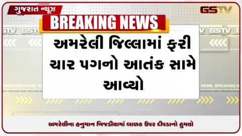 VIDEO: અમરેલીના હનુમાન ખીજડીયામાં બાળક ઉપર દીપડાનો હુમલો