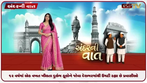 VIDEO: 12 વર્ષમાં એક વખત ખીલતા દુર્લભ ફૂલોને જોવા દેશભરમાંથી ઉમટી રહ્યા છે પ્રવાસીઓ