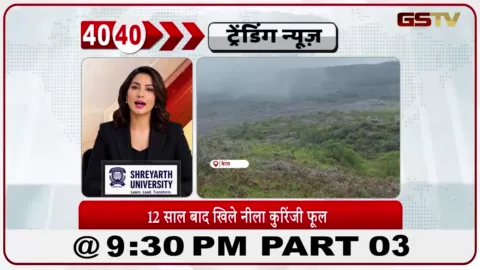 VIDEO: News 40-40/नीलकुनिरजी के खिलने पर इडुक्की में टूरिस्ट उमड़े