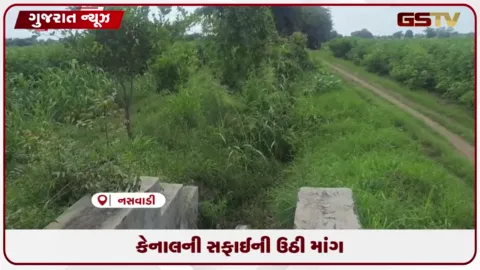 VIDEO: છોટાઉદેપુરમાં કેનાલોની સફાઈ ન થતાં નર્મદાના પાણી માટે ખેડૂતોમાં ભારે ચિંતા