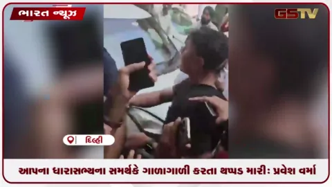 VIDEO: દિલ્હી: તિલક નગરમાં નિરીક્ષણ દરમિયાન પ્રવેશ વર્માએ આપના કાર્યકર્તાને કેમ થપ્પડ મારી?