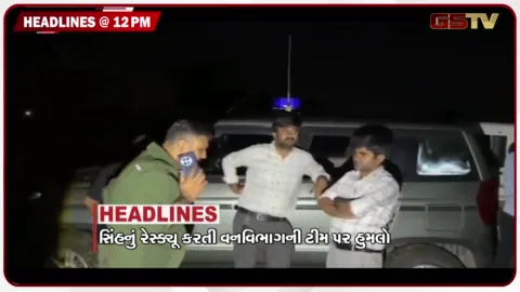 VIDEO: HEADLINE 12.00 PM / સિંહનું રેસ્કયુ કરતી વનવિભાગની ટીમ પર હુમલો, બે બોગસ ડોક્ટર ઝડપાયા