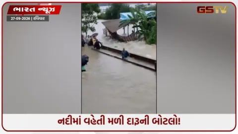 VIDEO: નદીમાં વહેતી મળી દારૂની બોટલો! જીવના જોખમે લૂંટવા ઉમટ્યા લોકો