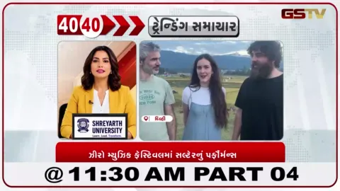 VIDEO: દિલ્હીના ઝીરો મ્યુઝિક ફેસ્ટિવલમાં આયર્લેન્ડના સલ્ટેર બેન્ડે ઐતિહાસિક પર્ફોર્મન્સ આપ્યું