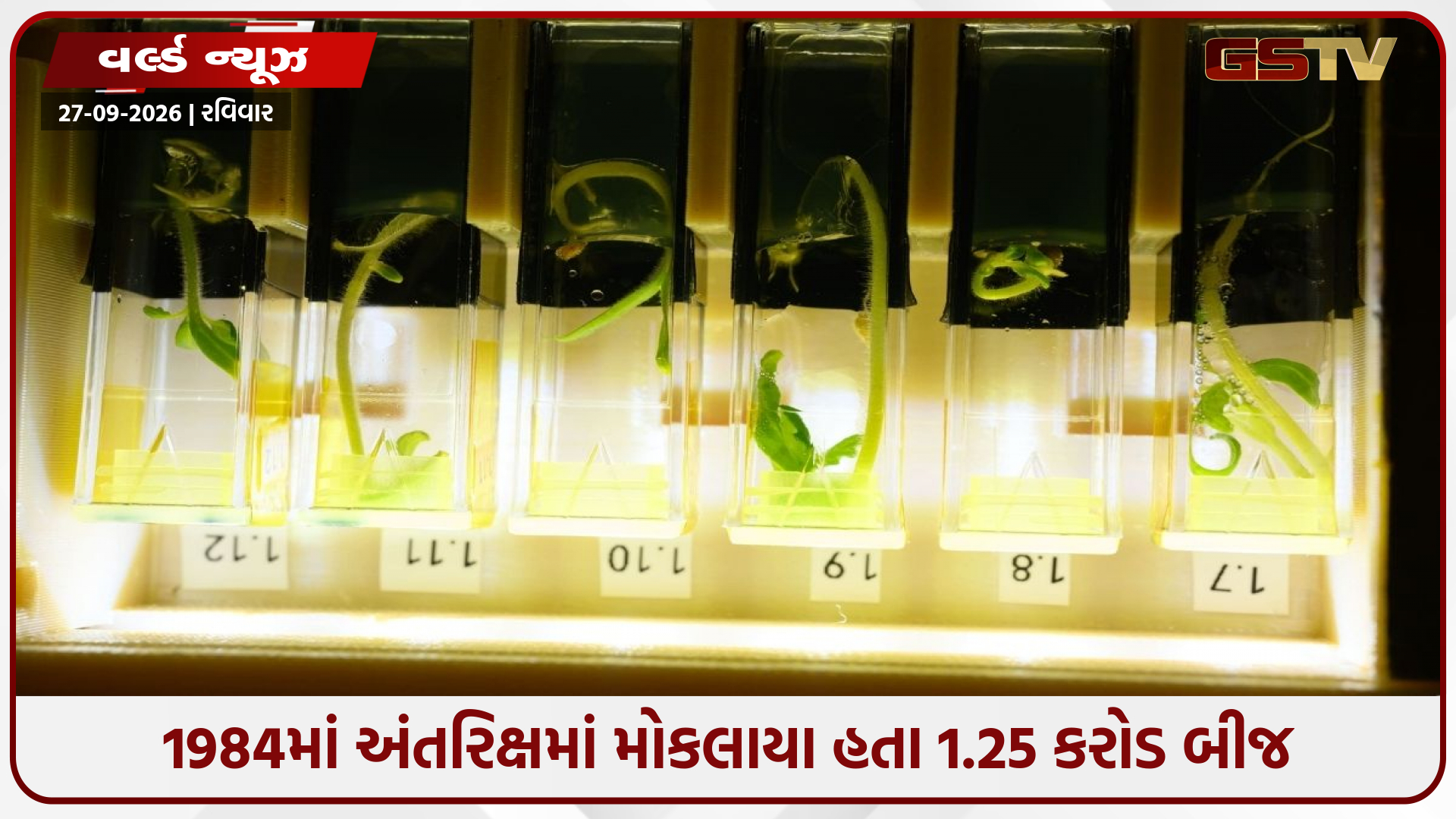 નાસાએ 1984માં અંતરિક્ષમાં મોકલ્યા હતા ટમેટાના બીજ, હવે 40 દેશોમાં ઉગ્યા છોડ