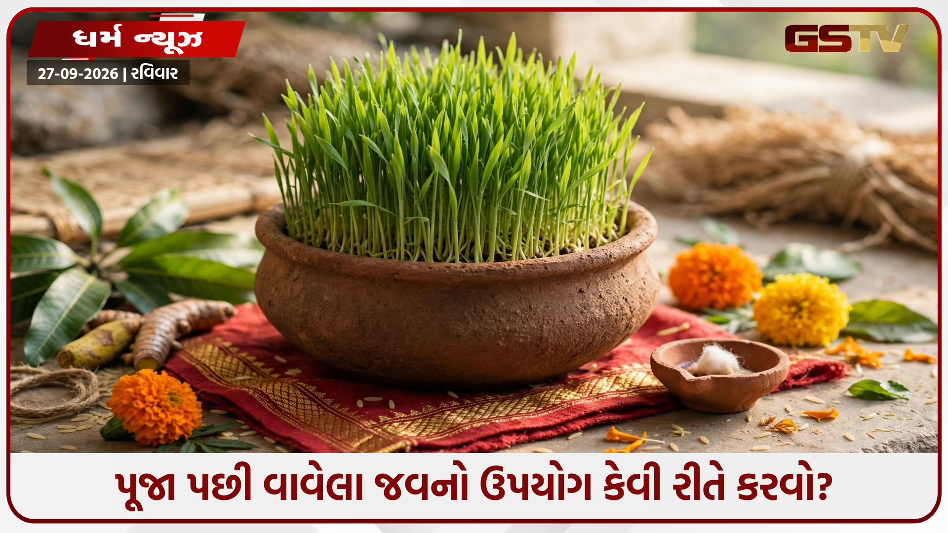 નવરાત્રિ પૂજાના જવારાનું શું કરવું જોઈએ? જાણો શાસ્ત્રોક્ત નિયમો