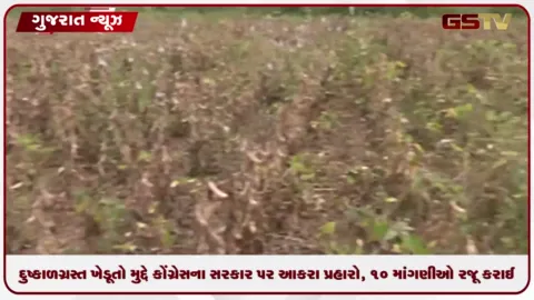 VIDEO: ૧૨૦ તાલુકાને દુષ્કાળગ્રસ્ત જાહેર કરો: મનિષ દોશીએ પાક લોન માફી અને વીજળી મુદ્દે ઘેરી સરકાર