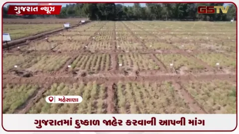 VIDEO: ગુજરાતમાં દુષ્કાળ જાહેર કરવા અને ખેડૂતોના હક માટે મનોજ સોરઠીયાના સરકાર પર આકરા પ્રહારો
