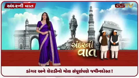 VIDEO: ડાંગર અને શેરડીનો પાક જમીનદોસ્ત થઈ જતાં ૫૦ ટકા જેટલું મોટું નુકસાન