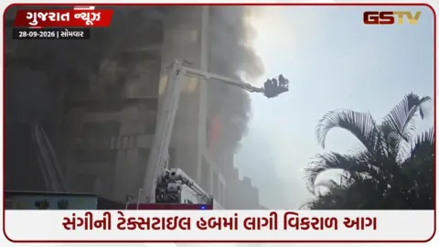 VIDEO: સુરતના સારોલીમાં સંગીની ટેક્સટાઇલ હબમાં ભીષણ આગ, ફાયર વિભાગે જાહેર કર્યો બ્રિગેડ કોલ