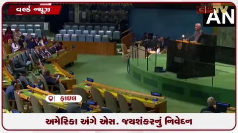 VIDEO: આતંકવાદ પર સંવેદનશીલતા નથી તો સંબંધો પર પડશે અસર: એસ. જયશંકરનુ અમેરિકા અંગે નિવેદન