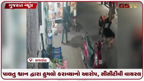 VIDEO: રાજકોટમાં જૂની અદાવતમાં પાળતુ શ્વાન પાસે યુવક પર હુમલો કરાવતા સીસીટીવી વાયરલ