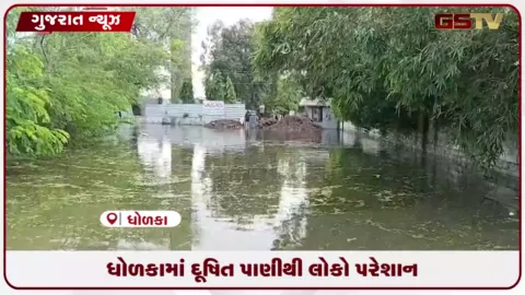 VIDEO: ધોળકામાં કેમિકલયુક્ત ગંદા પાણી ભરાતાં જનજીવન અસ્તવ્યસ્ત, કલેક્ટરને આવેદનપત્ર પાઠવવામાં આવ્યું