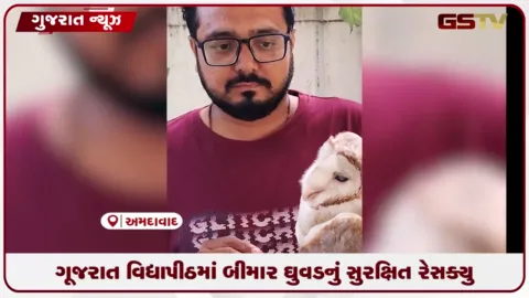 VIDEO: ગૂજરાત વિદ્યાપીઠમાં બીમાર ઘુવડનું સુરક્ષિત રેસ્ક્યુ