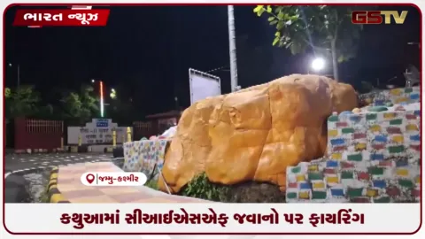 VIDEO: કથુઆમાં સીઆઈએસએફ જવાનો પર ફાયરિંગ