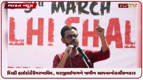 VIDEO: દિલ્હી હાઈકોર્ટે ઉમર ખાલિદ, શરજીલ ઈમામને જામીન આપવાનો ઇનકાર કર્યો