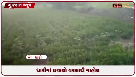 VIDEO: અમરેલીના ગીરકાંઠા વિસ્તારમાં પલટાયેલા વાતાવરણ વચ્ચે બપોર બાદ મેઘરાજાનું આગમન થયું