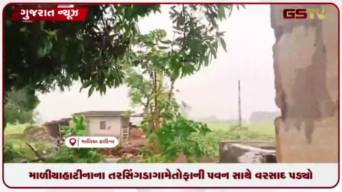 VIDEO: માળીયાહાટીનાના તરસિંગડા ગામે તોફાની પવન સાથે વરસાદ: ખેતરોમાં ઝાડ ધરાશાયી થતાં નુકસાન થયું