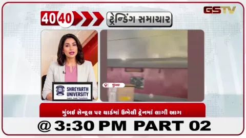VIDEO: ગાંધીનગર ચૂંટણી માટે ભાજપે 20 સ્ટાર પ્રચારકોની યાદી જાહેર કરી, દિગ્ગજ નેતાઓને જવાબદારી